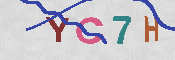 キャプチャ画像