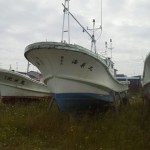AM-K001-1