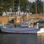 IMGP7059