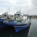 s-DSC02963