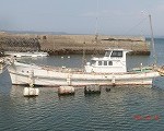 さくら 002